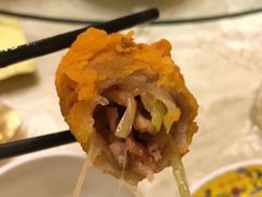 -丁老爷子苏香圆