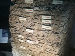 -南越王博物院(王宫展区)