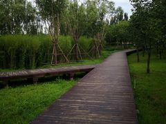 -东郊湿地公园