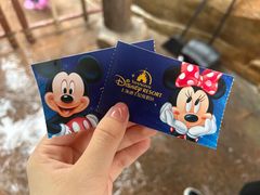 -上海迪士尼度假区