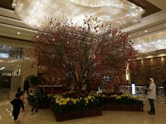 -佛山皇冠假日酒店-西餐厅