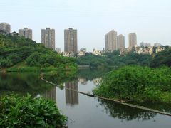 -重庆彩云湖湿地公园