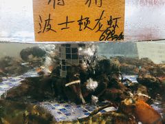 -寻味顺德·珍之宝酒楼(银钻店)
