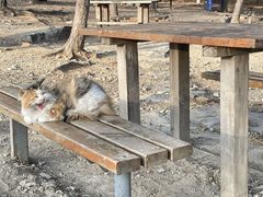 -北京西山国家森林公园