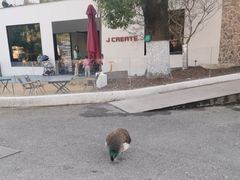 -金庭庄园酒店-停车场