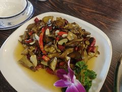 -山大王菌莊