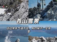 -大理.老字号渝记酸萝卜乌鱼(古城总店)