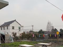 -小鱼草莓采摘园农家乐·小鱼餐厅