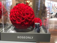 -ROSEONLY诺誓(广州K11店)