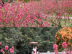 -桃花涧
