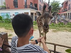 -灵玲国际马戏城