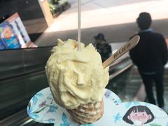 -野人先生现做冰淇淋(北京顺义祥云小镇店)