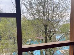 -逸廊大堂吧-下午茶·简餐-千岛湖自由洲际殿