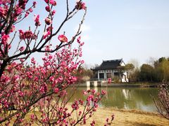 -同里国家湿地公园