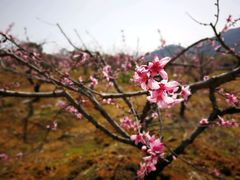 -蒋氏故居
