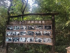 -井塘古村