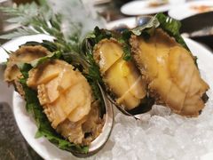 鲍鱼-温度铁板烧(亚泰大街店)