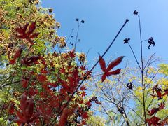 -苏州河梦清园环保主题公园