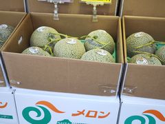 -小樽八音盒堂