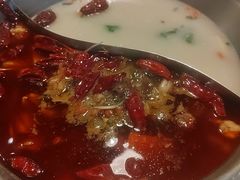 -麻田会 ·鲜活现烹·牛蛙火锅(珠江新城维家思广场店)