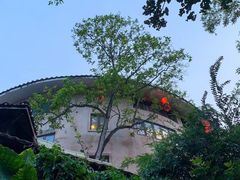 -观澜山水田园
