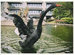 -行者书屋大堂吧 ·下午茶(南京圣和府邸酒店)