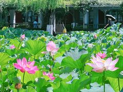 -四川大学(望江校区)