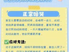 -大班家政月嫂育儿嫂(总部店)
