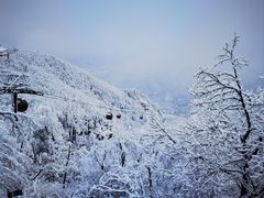 -老君山风景名胜区