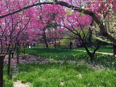 -国家植物园南园