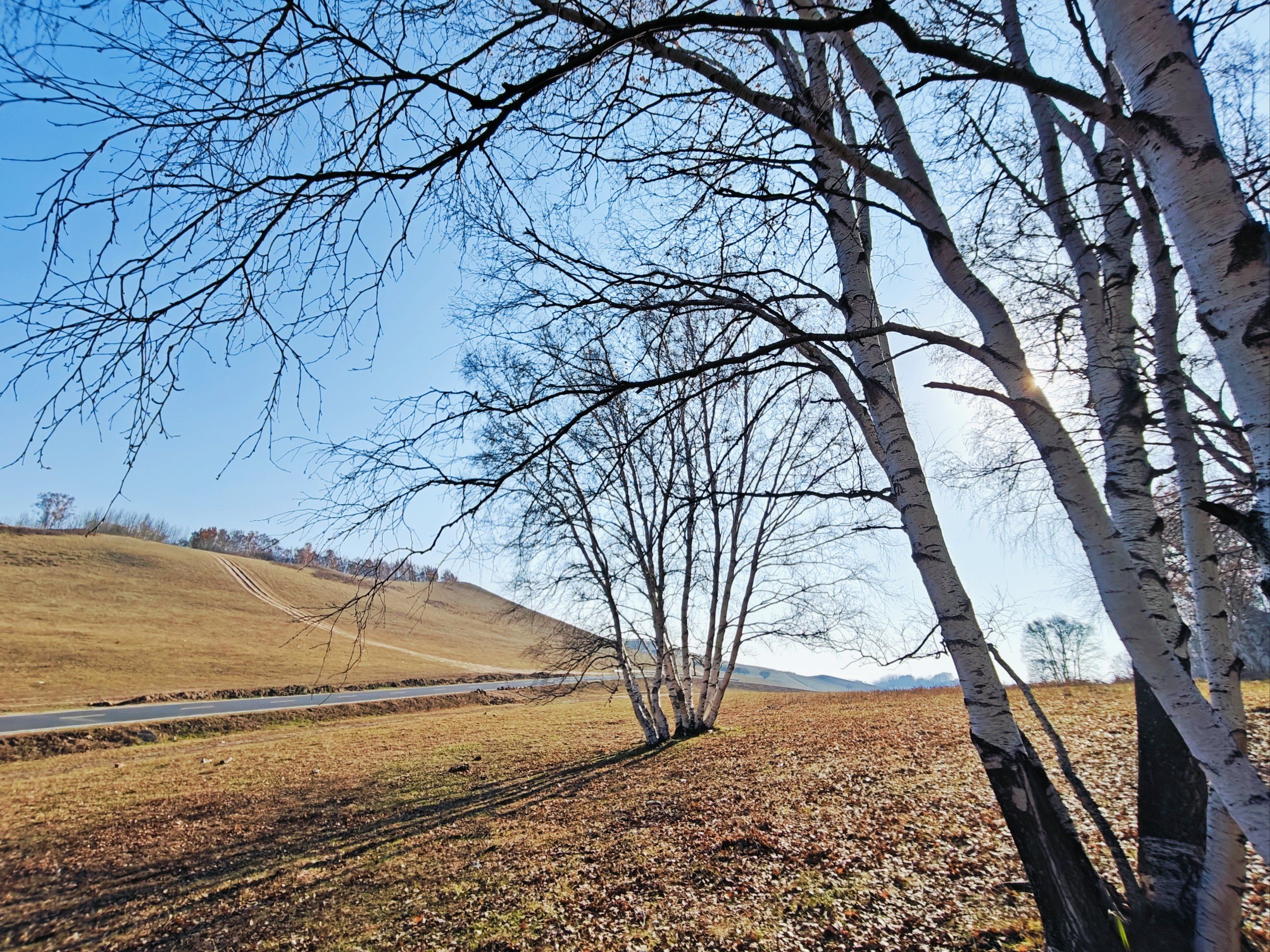 北京最近的绝美草原秋景