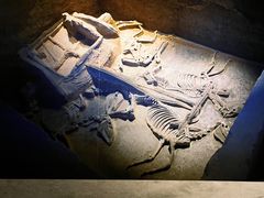 -洛阳周王城天子驾六博物馆