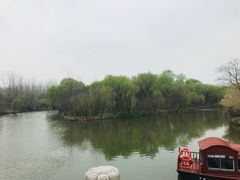 -溱湖国家湿地公园