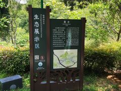 -南京老山国家森林公园
