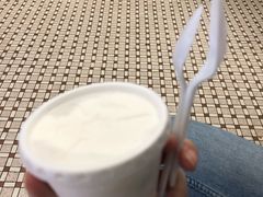 -洪馨椰子