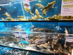 -盒马鲜生(曜一城店)