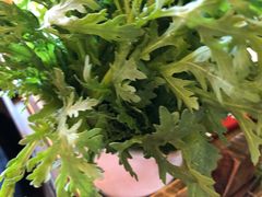 -小龙坎老火锅(北京三里屯店)