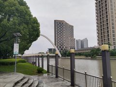 -陈家山荷花公园