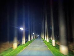 -上海怡沁园度假酒店