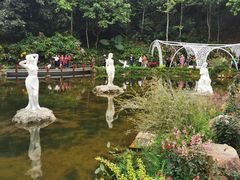 -深圳仙湖植物园