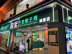-探窝·竹笙椰子鸡(杨箕店)