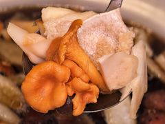 -天宜隆蘑菇宴火锅(石景山旗舰店)