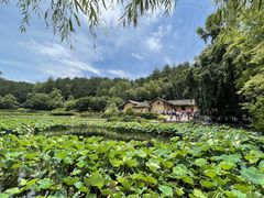 -韶山毛泽东同志故居