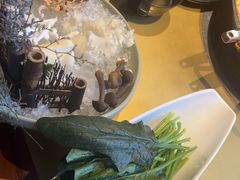-手选潮汕鲜牛肉火锅(二七广场店)