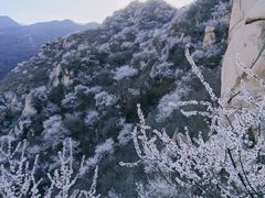 -北京凤凰岭