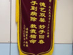 -中农国际动物医院24小时·猫科·骨科·急重症中心