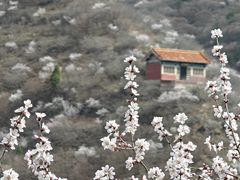 -藏山旅游风景区