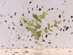 -gaga(深圳福田星河COCO Park店)