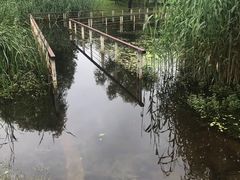 -同里国家湿地公园