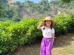 -火炉山森林公园